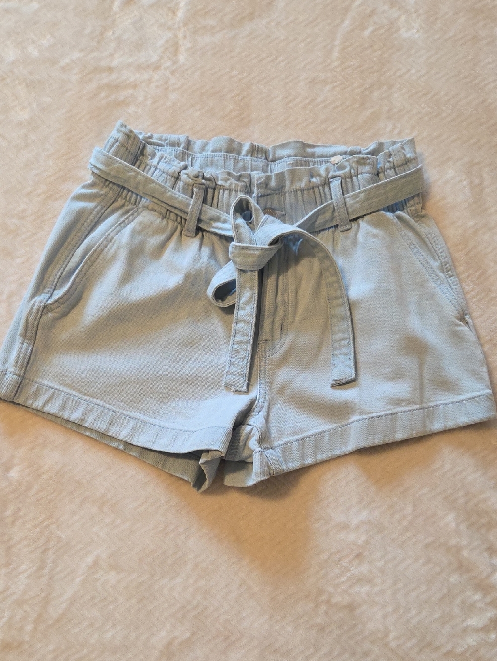 American Eagle Outfitters Light Blue Paperbag Waist Shorts with Self Tie